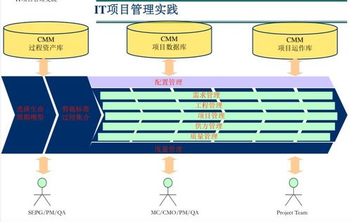 软件外包项目的有效管理 策略与实践